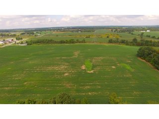 Property photo 18 - REAL ESTATE AUCTION - 116.5+/- ACRES IN 9 TRACTS WITH 2 FARMS IN NOBLE COUNTY, INDIANA